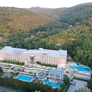 Thermal Hotel Visegrad